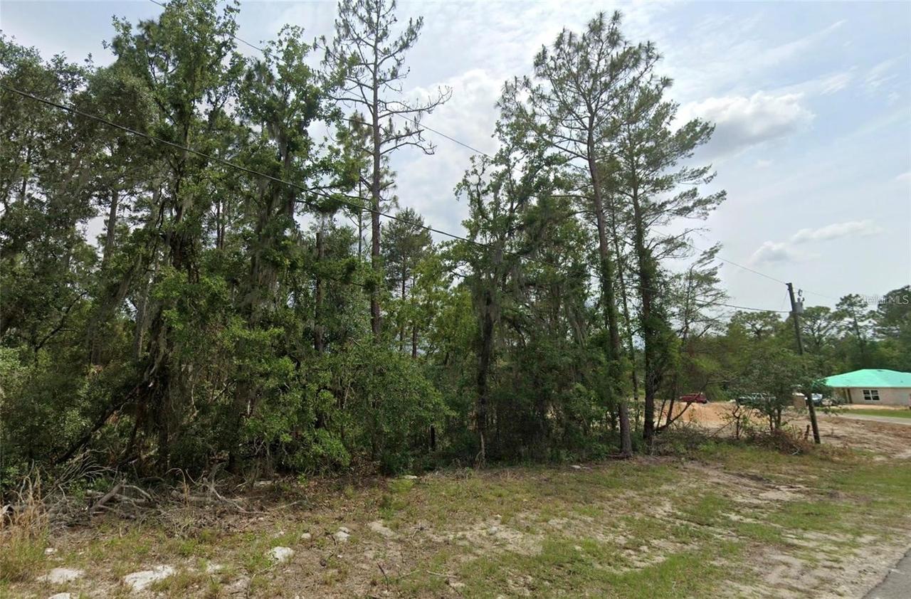 6820 SW 153rd Place Rd., Ocala, FL 34473