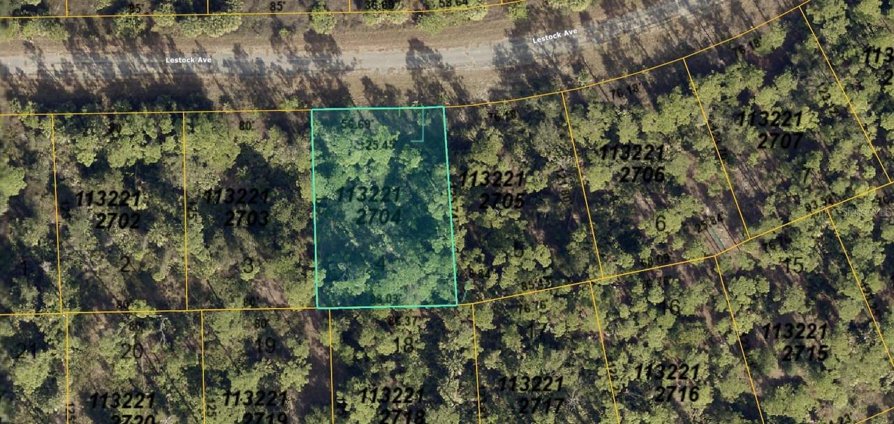 1132212704 Lestock Ave., North Port, FL 34288