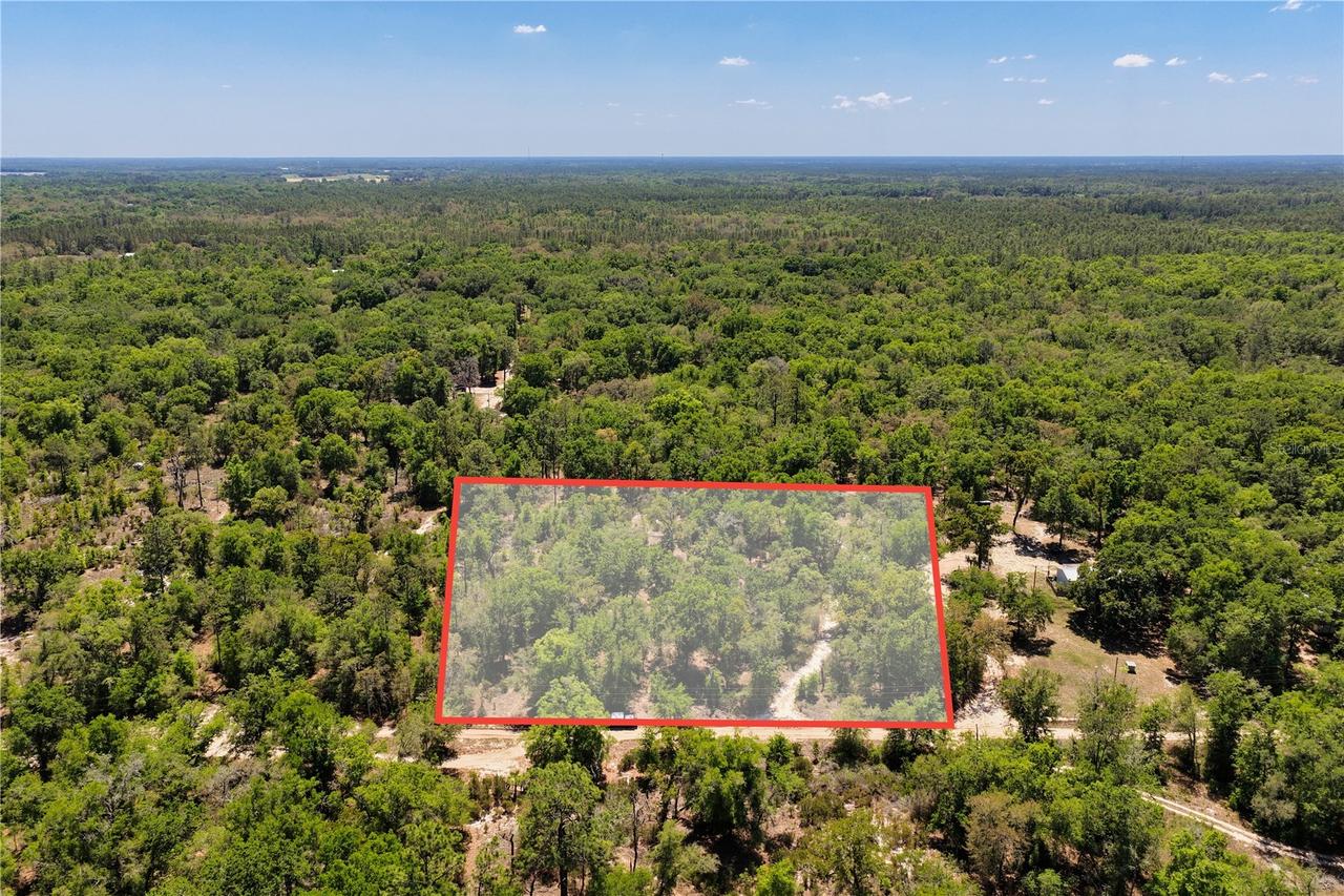 2 NE 125th St., Bronson, FL 32621