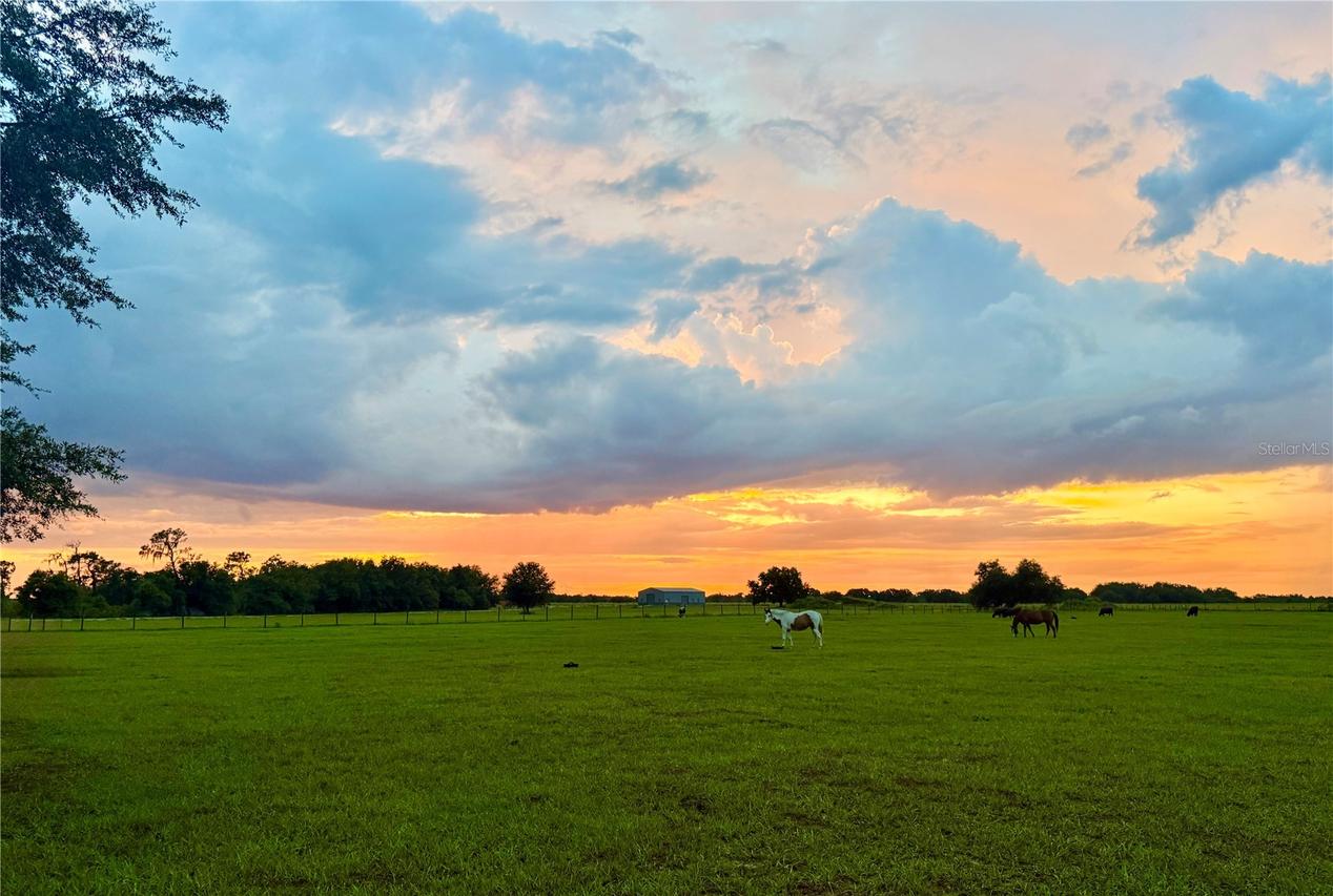 0000 Roberts Rd., Ona, FL 33865