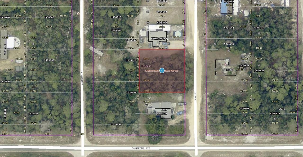 14-17-28-0200-004-04100 Oak St., Paisley, FL 32767