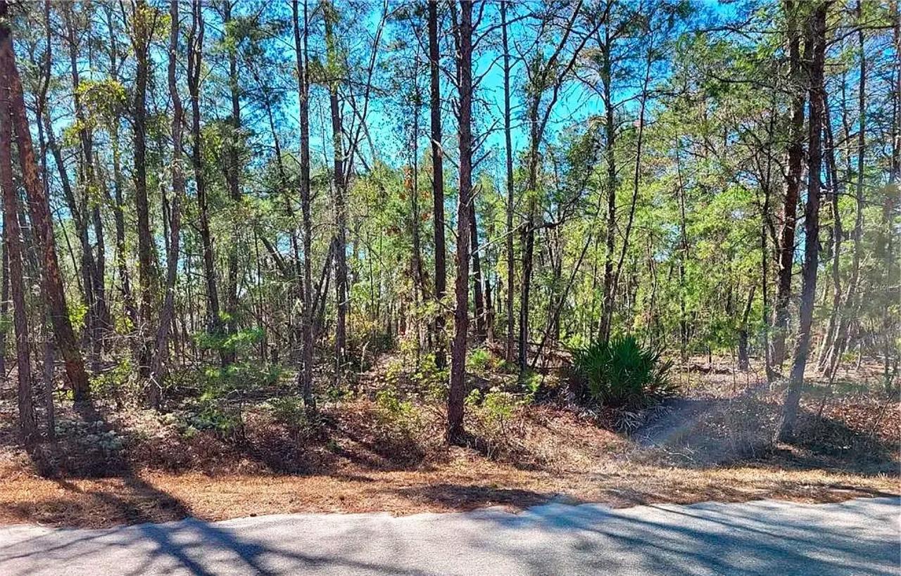 76 Fisher Run Ter., Ocklawaha, FL 32179