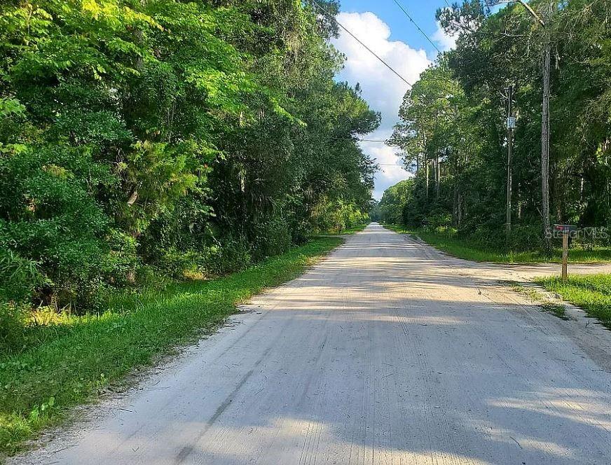 1763 Sherwood St., Bunnell, FL 32110