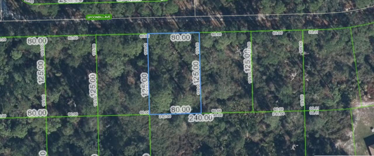 3224 Spoonbill Ave., Lake Placid, FL 33852