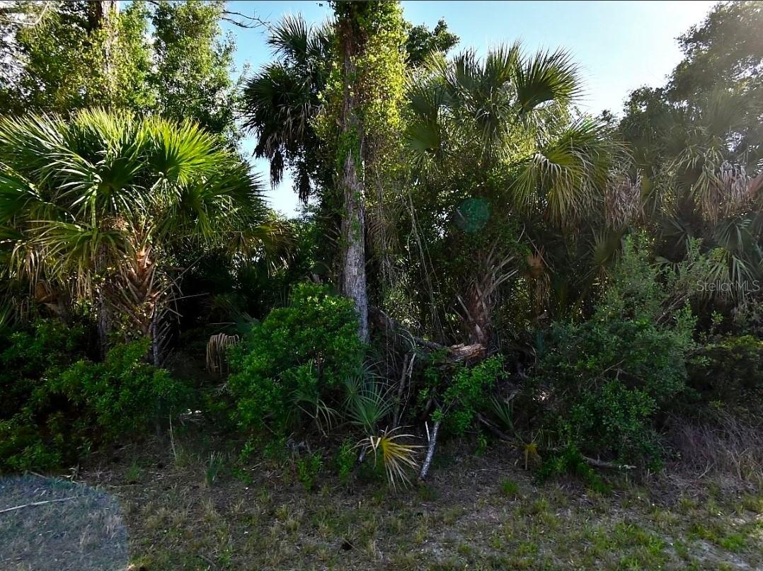 Wells Ave., North Port, FL 34286