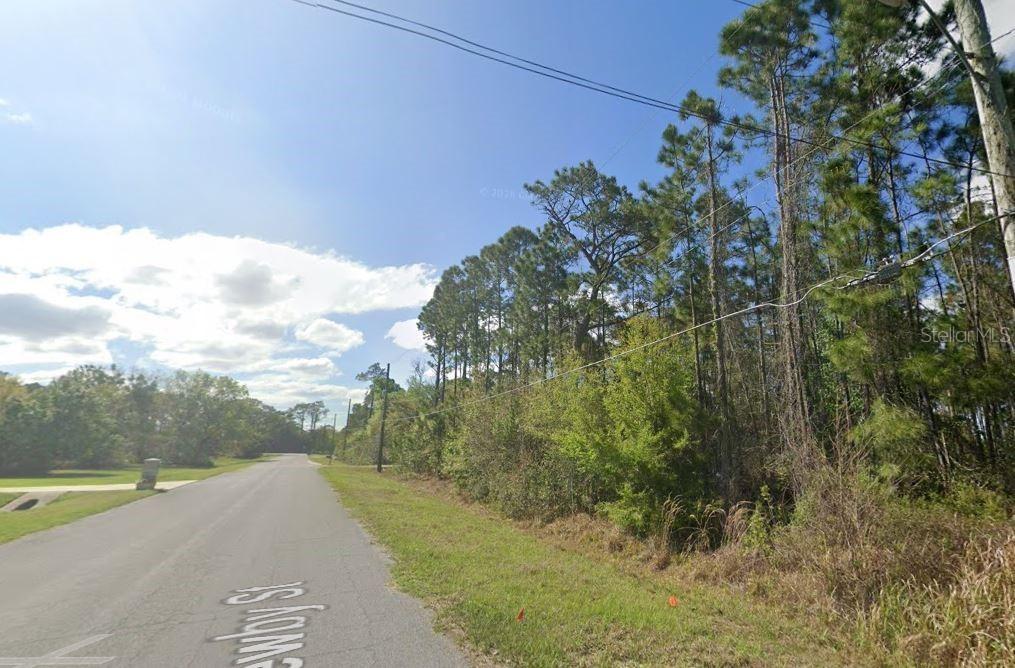 20607 Newby St., Orlando, FL 32833