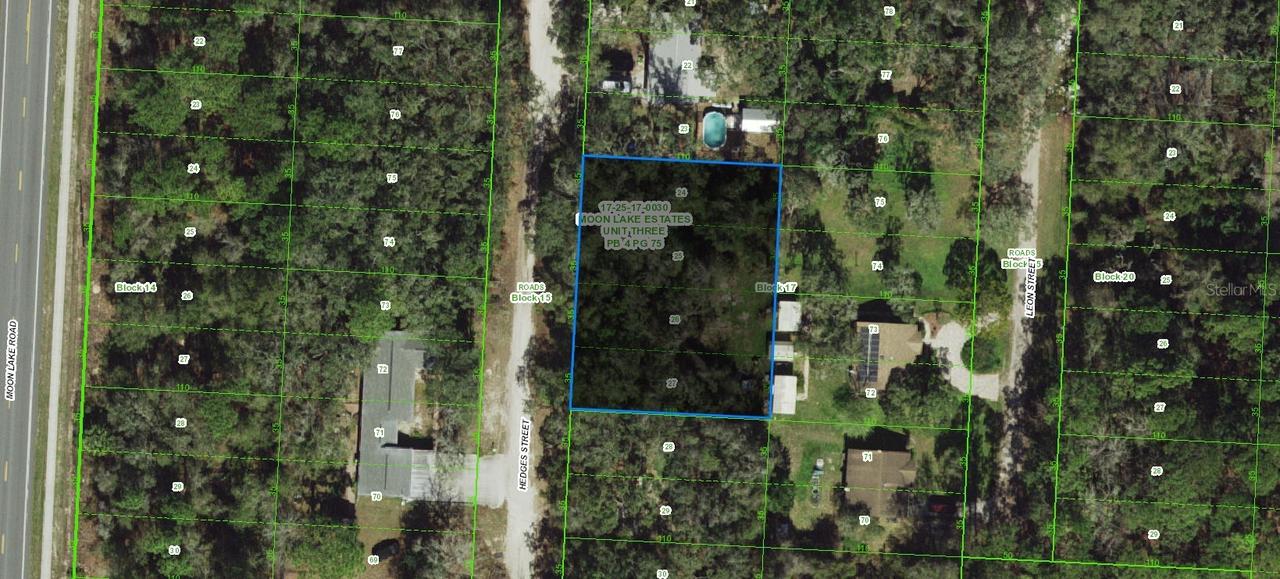 17-25-17-0030-01700-0240 Hedges St., New Port Richey, FL 34654