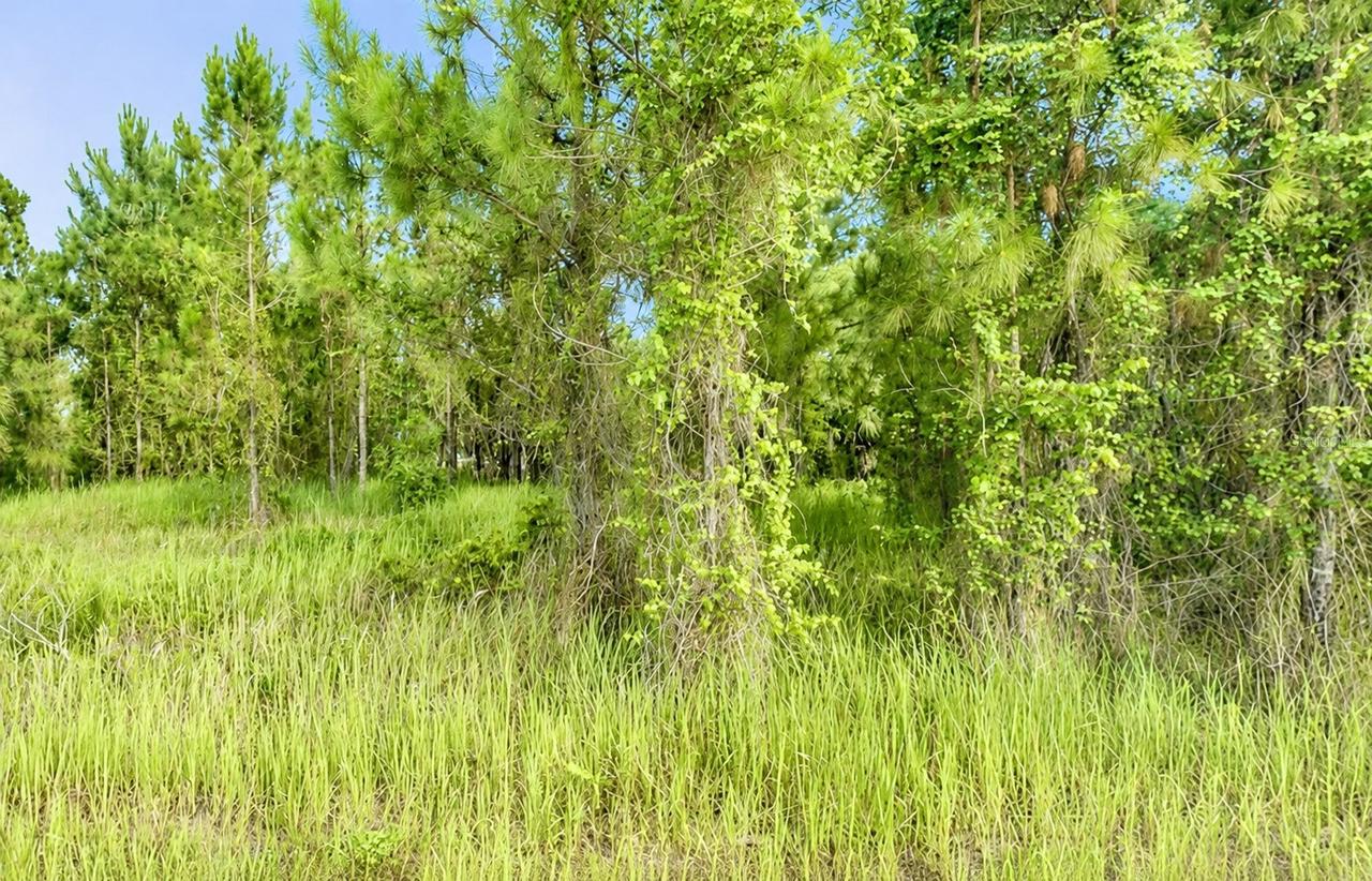2268 Rolling Rd., North Port, FL 34288