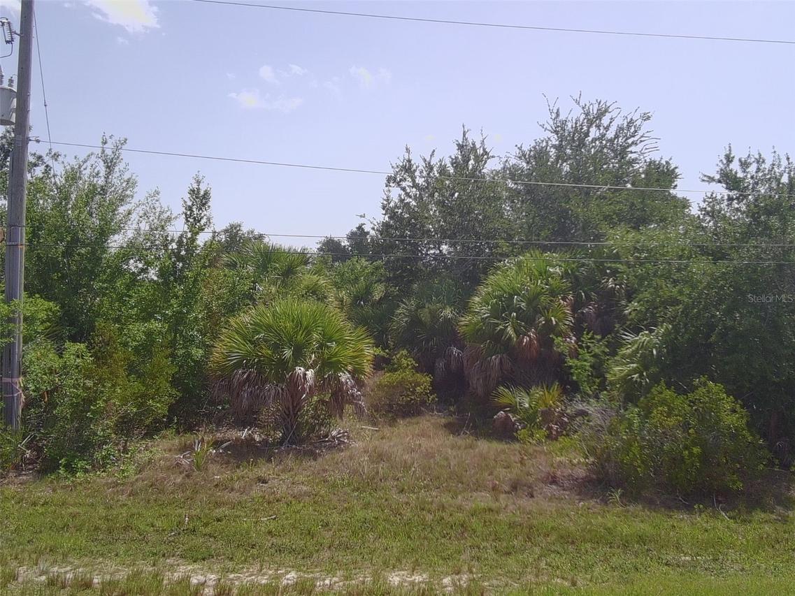 8089 Bosco Rd., Port Charlotte, FL 33981