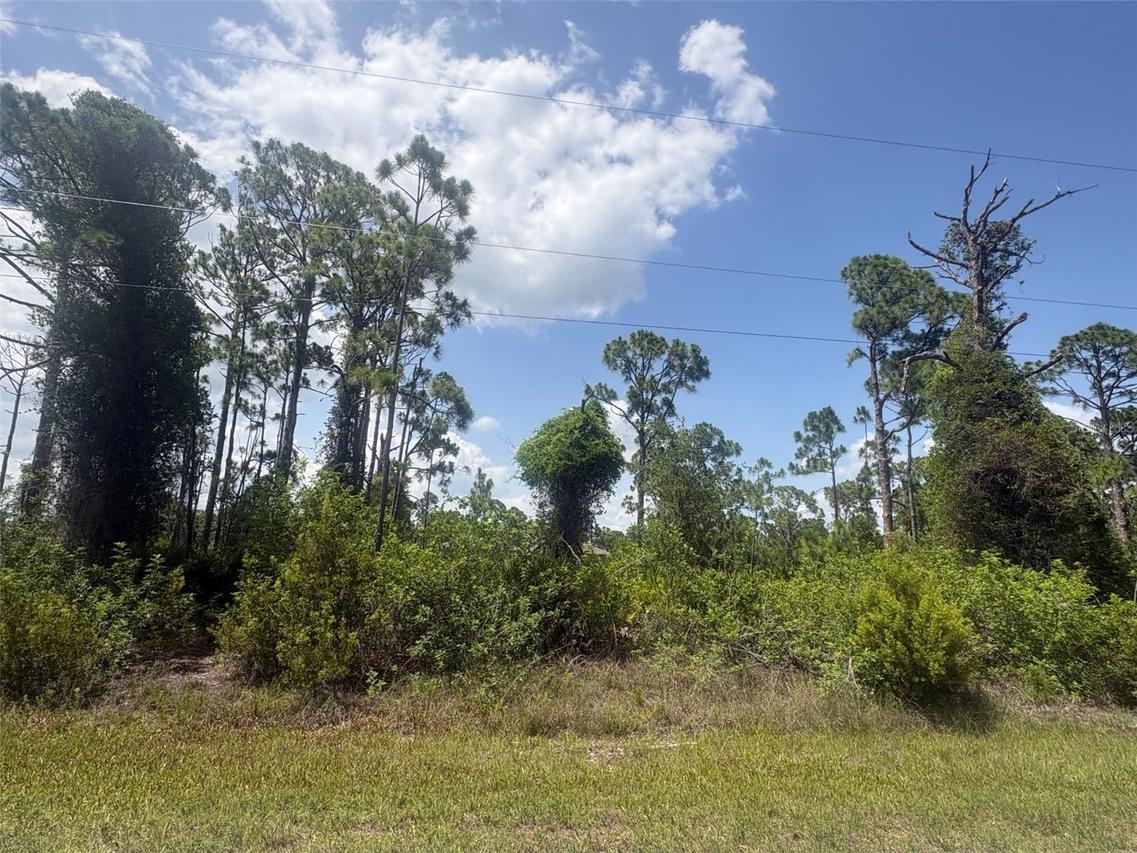 14200 Naylor Ave., Port Charlotte, FL 33981