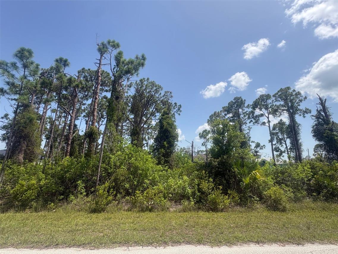 14201 Naylor Ave., Port Charlotte, FL 33981