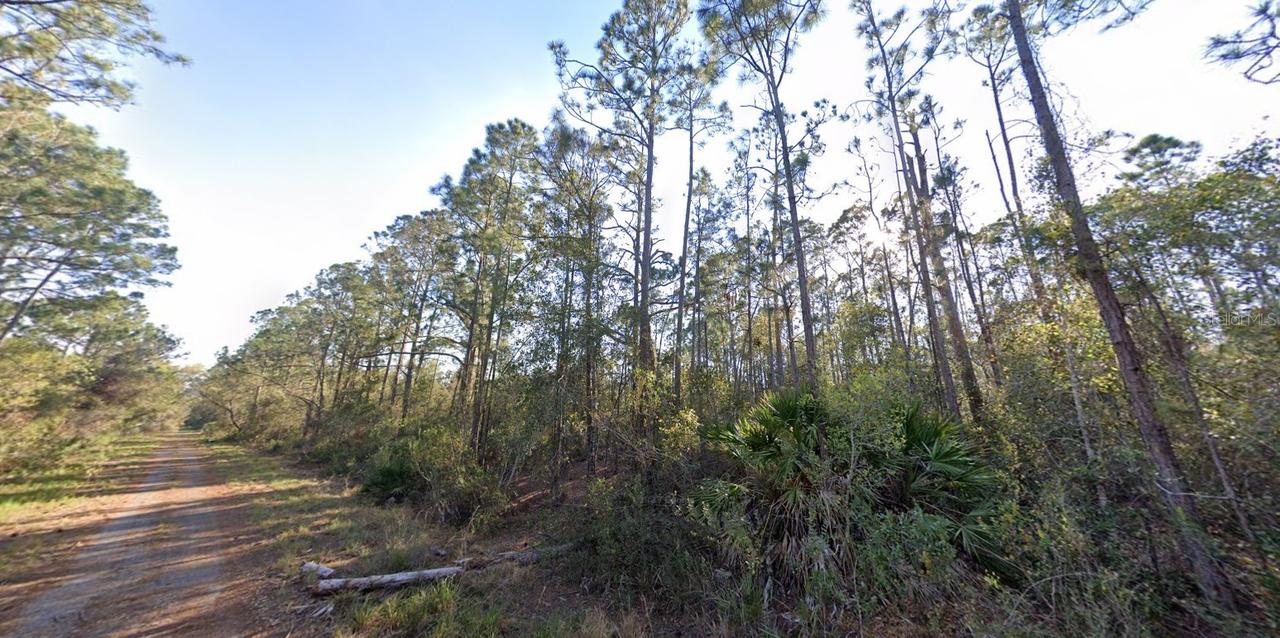 1054 Robin St., Lake Placid, FL 33852