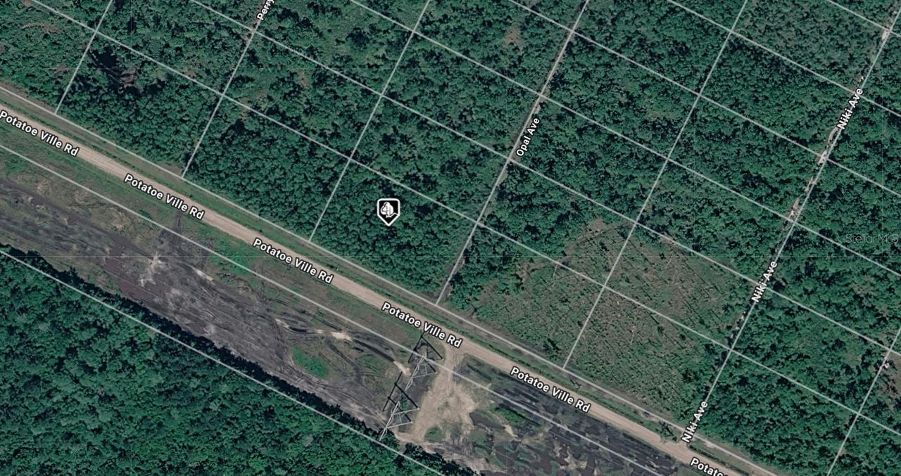 21-10-28-2775-00050-0602 Potatoville Rd., Hastings, FL 32145