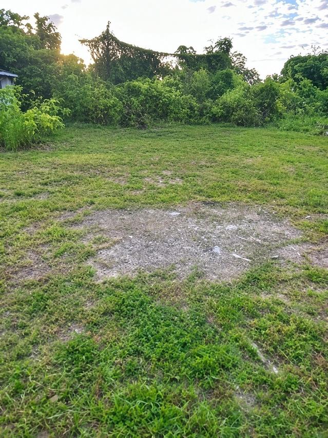 2610 2nd Ave., Palmetto, FL 34221