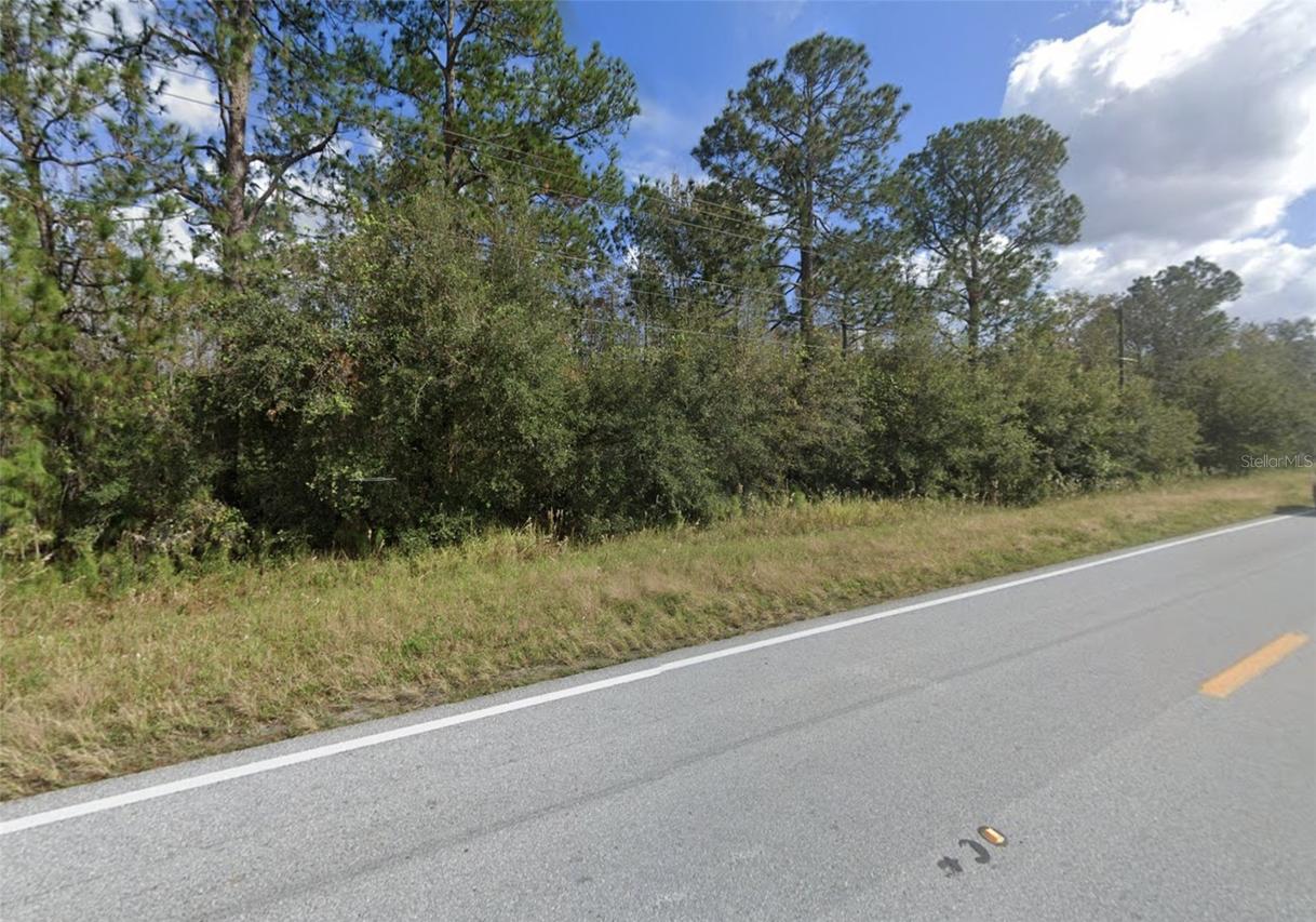 Old Grade Rd., Polk City, FL 33868