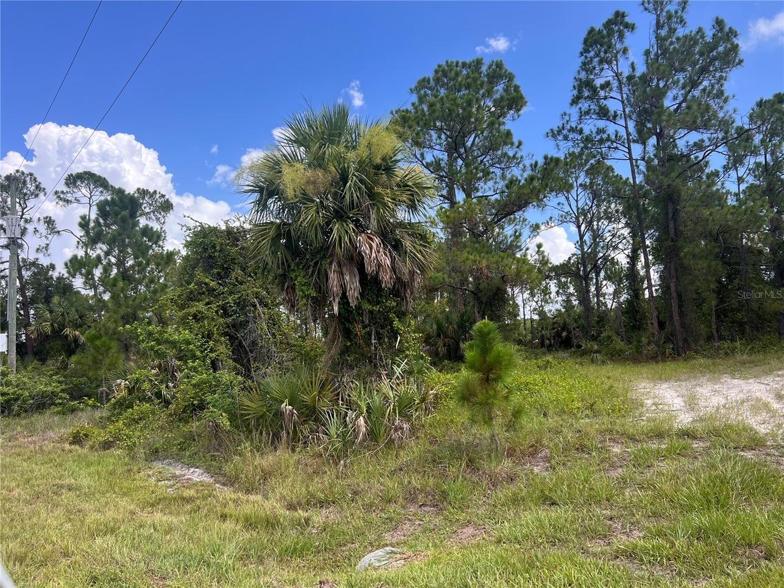 Dalewood Cir., North Port, FL 34288