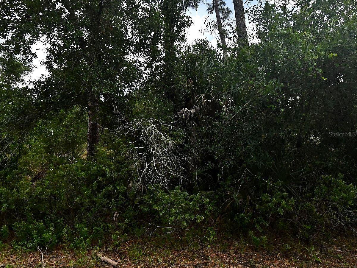 Loffreda Ave., North Port, FL 34291