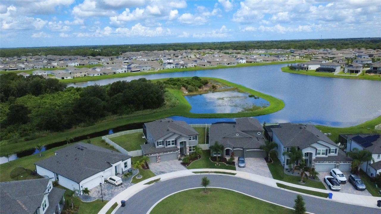 3195 King Fern Dr., Wimauma, FL 33598