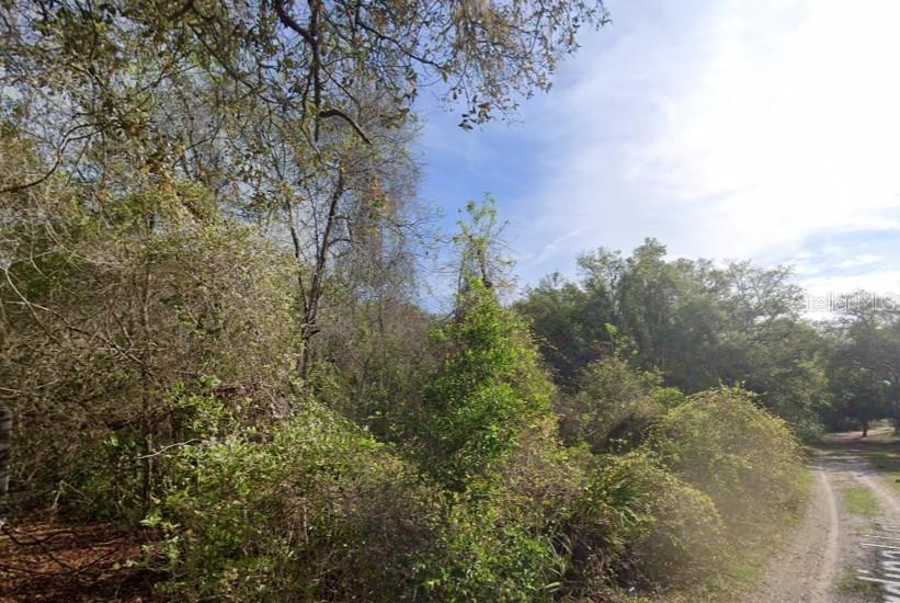 NE 437th Ave, Old Town, FL 32680