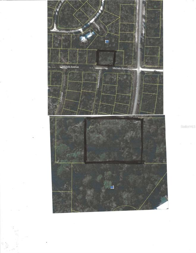 3205 Michele Ave., Lake Placid, FL 33852
