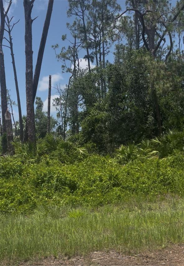 Tepee Ave., North Port, FL 34291