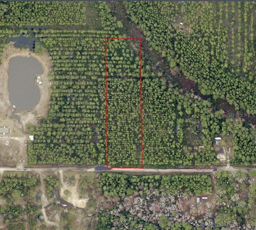 NE 215th St., Fort Mc Coy, FL 32134