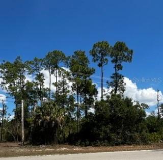 4105 E 10th St., Lehigh Acres, FL 33972