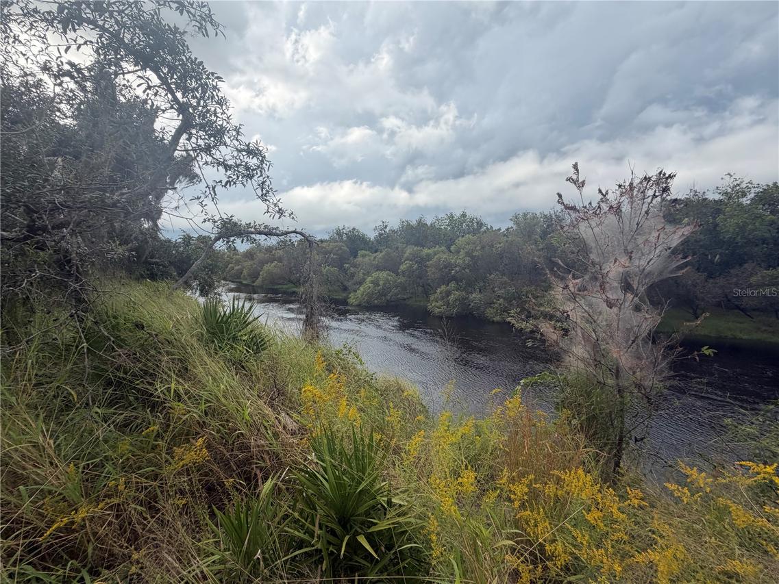 1234 NW Peace Pointe Dr., Arcadia, FL 34266