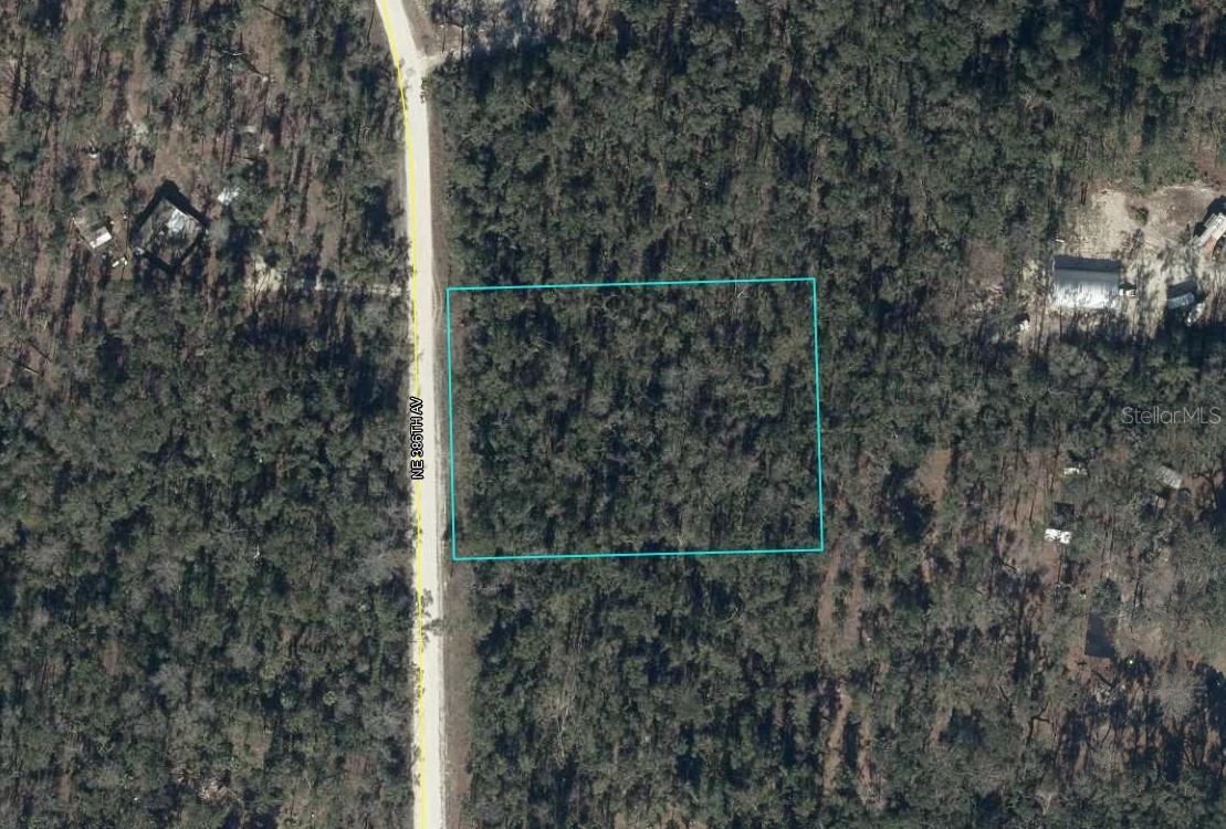 NE 386th Ave., Old Town, FL 32680