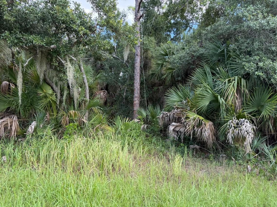 15020 Elwood Ave., Port Charlotte, FL 33953