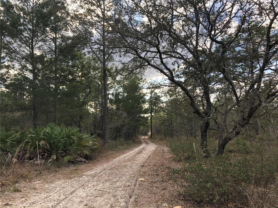 6000 W Cedar Hill St., Dunnellon, FL 34433