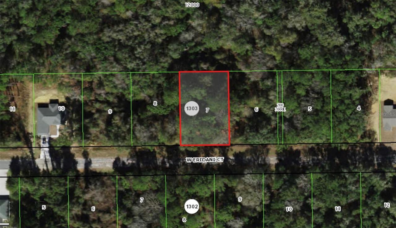 271 W Eridani Ct., Citrus Springs, FL 34434