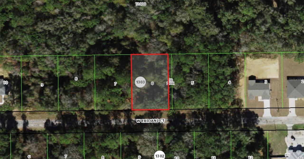253 W Eridani Ct., Citrus Springs, FL 34434