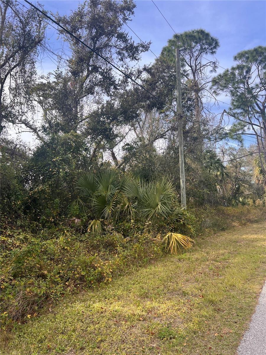 Firebrand Rd., North Port, FL 34288