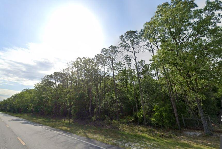 NE Hwy 351 Hwy., Old Town, FL 32680