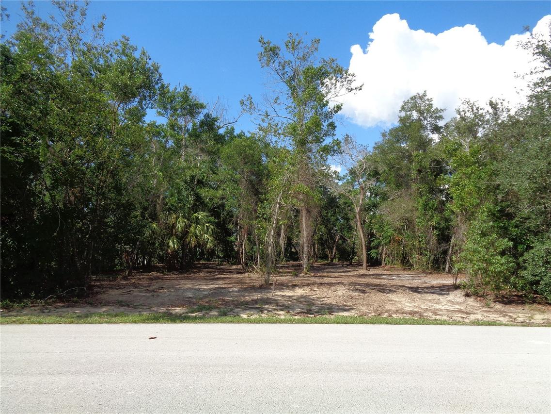 8007 Chaucer Dr., Weeki Wachee, FL 34607