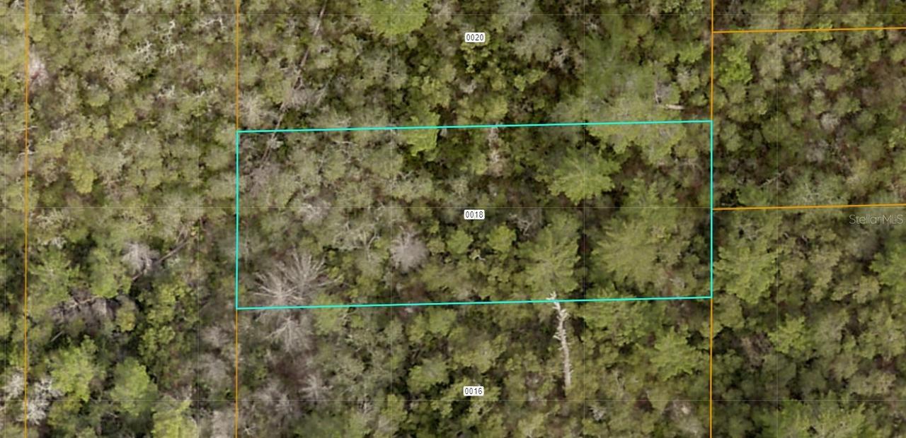 Evelyn (paper) St., Deltona, FL 32738