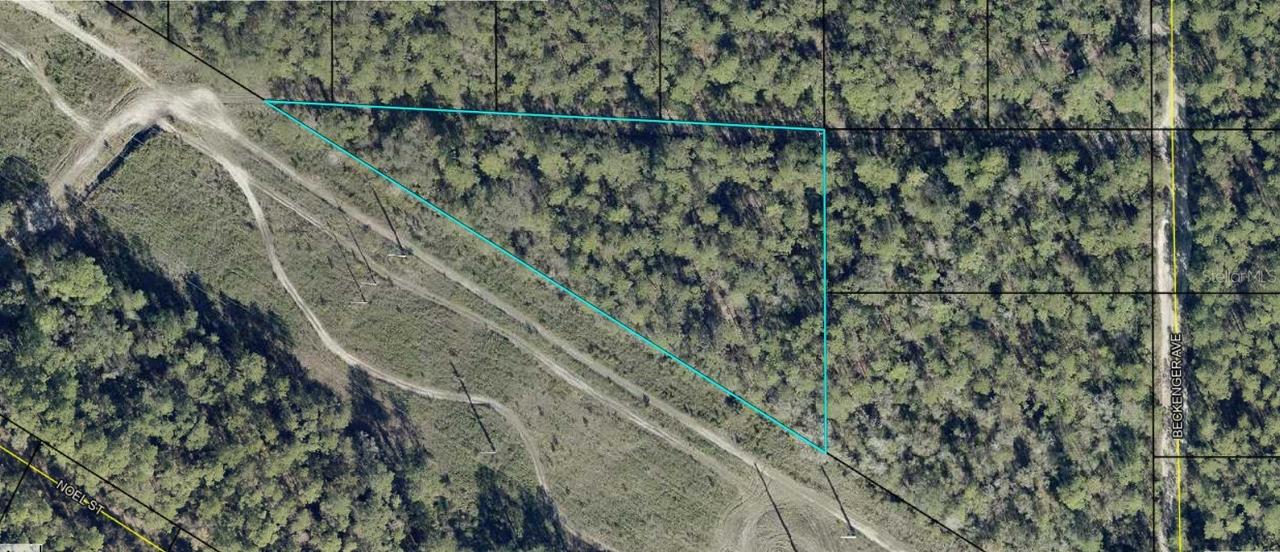 Eddie St., Hastings, FL 32145