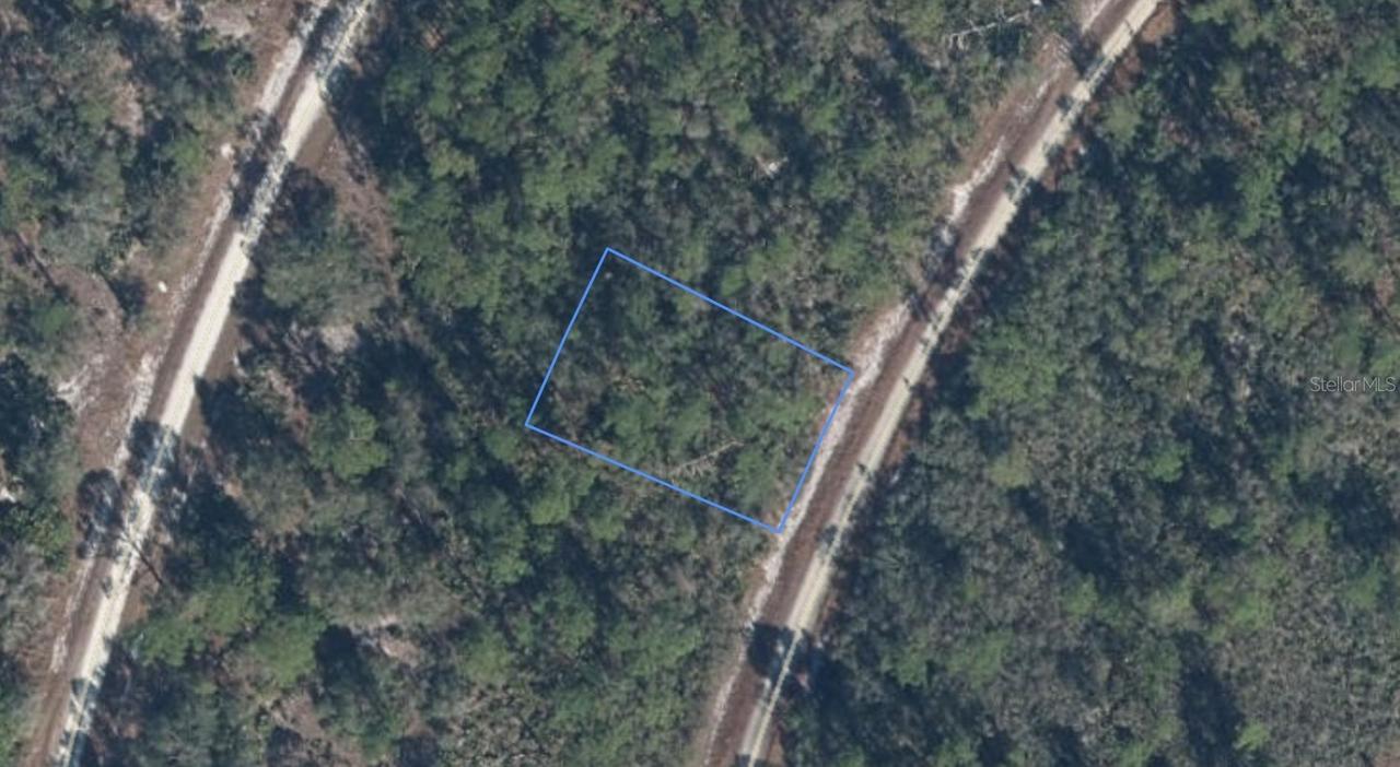 818 Hollywood St., Lake Placid, FL 33852