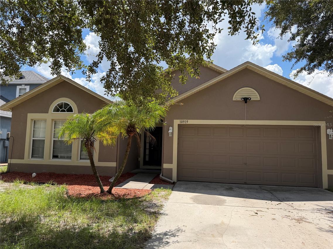 10919 Banyan Wood Way, Riverview, FL 33579