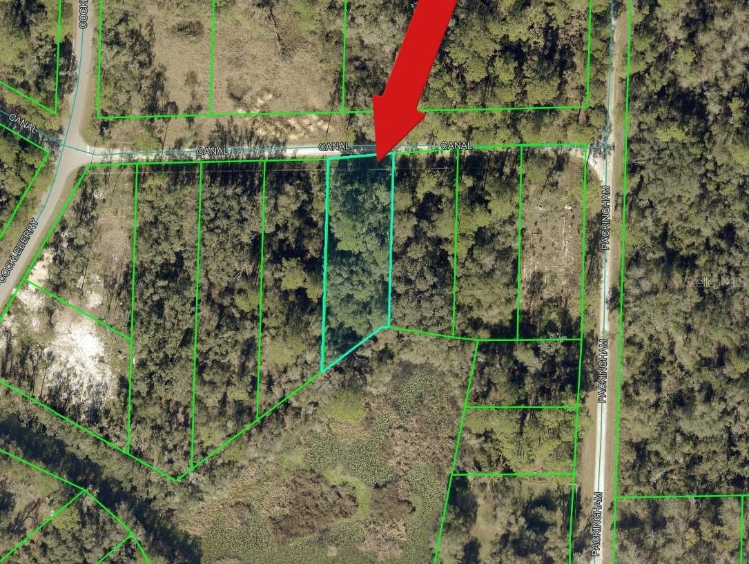N N Canal St., Webster, FL 33597