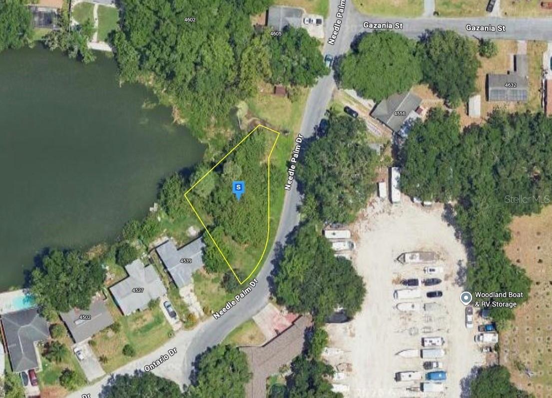 4545 Needle Palm Dr., New Port Richey, FL 34652