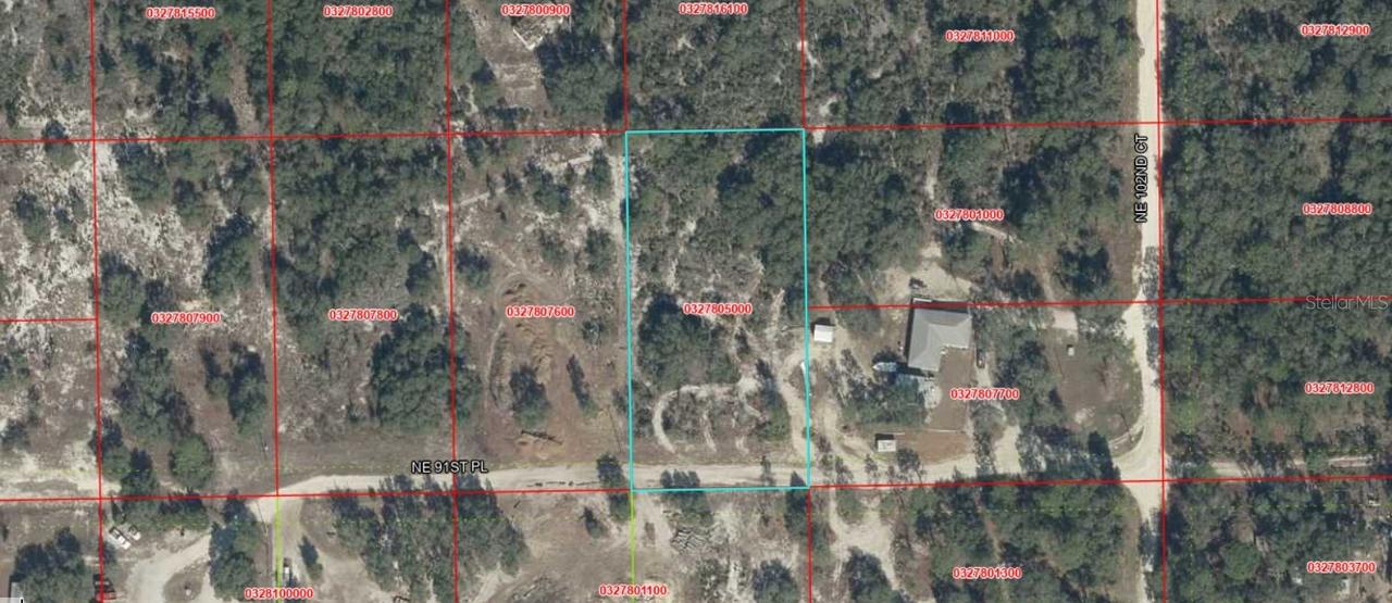 NE 91st Pl., Bronson, FL 32621