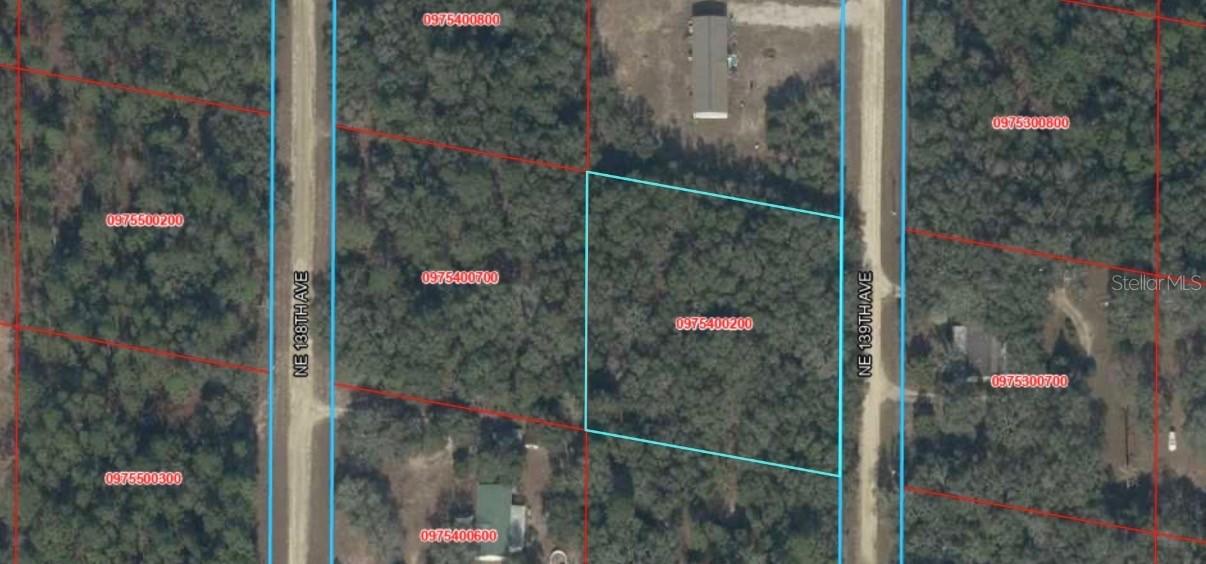 NE 139th St., Williston, FL 32696