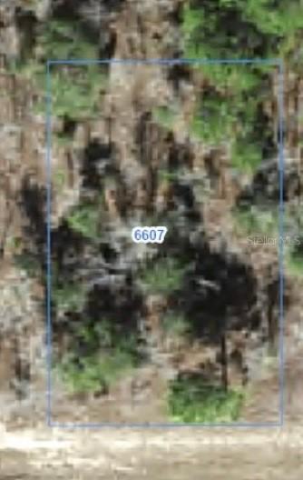 6607 N Bedstrow Blvd., Citrus Springs, FL 34434