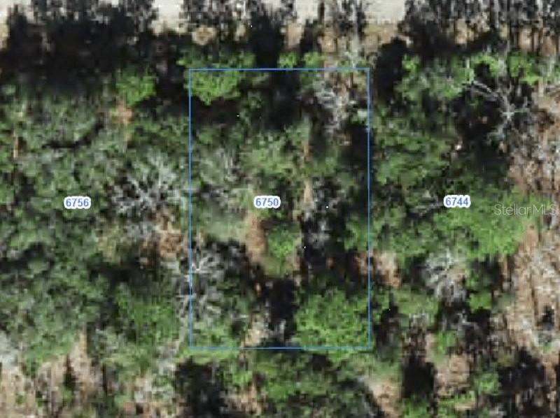 6750 N Darlington Dr., Citrus Springs, FL 34434