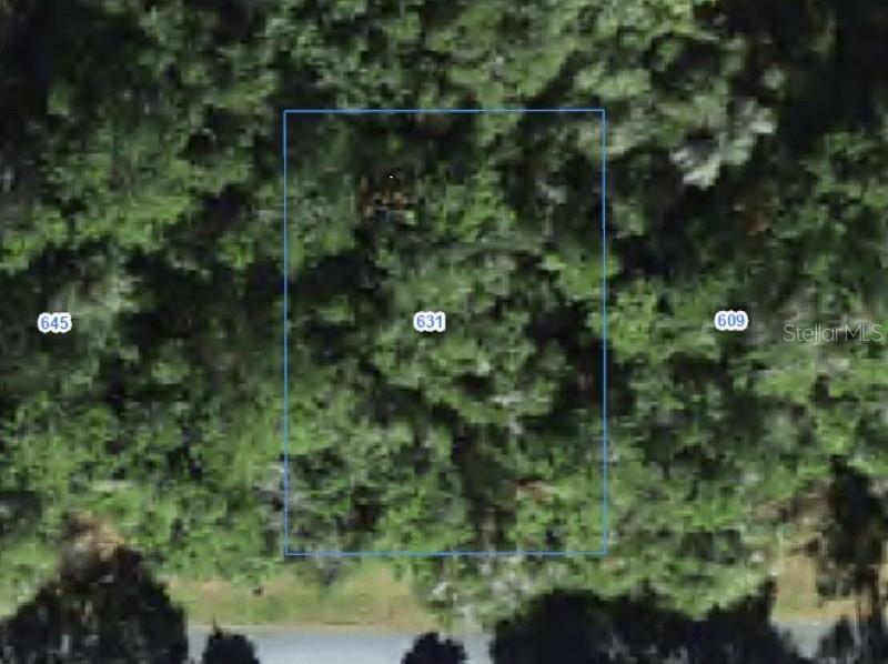 631 W Grapewood Ln., Citrus Springs, FL 34434