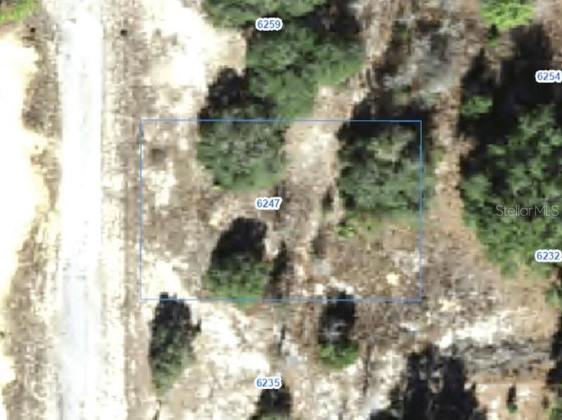 6247 N Hobson Ter., Citrus Springs, FL 34433