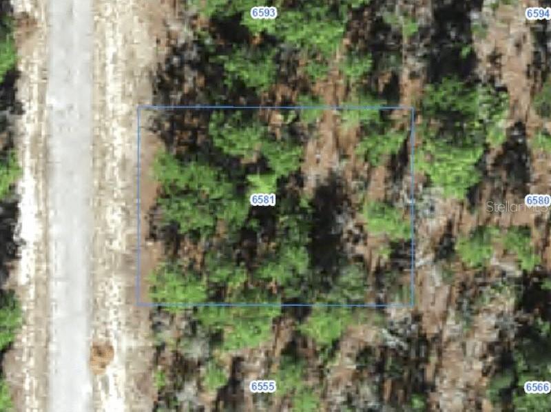 6581 N Winlock Ter., Citrus Springs, FL 34433