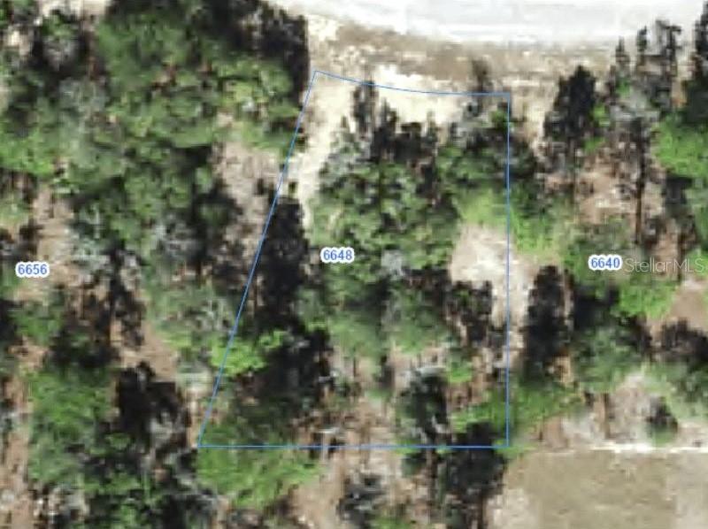 6648 N Sand Dr., Citrus Springs, FL 34433